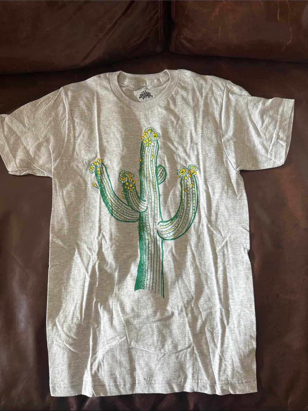 Men's Gray Graphic Cactus T-Shirt - Ann Arbor T-shirt Company size small.